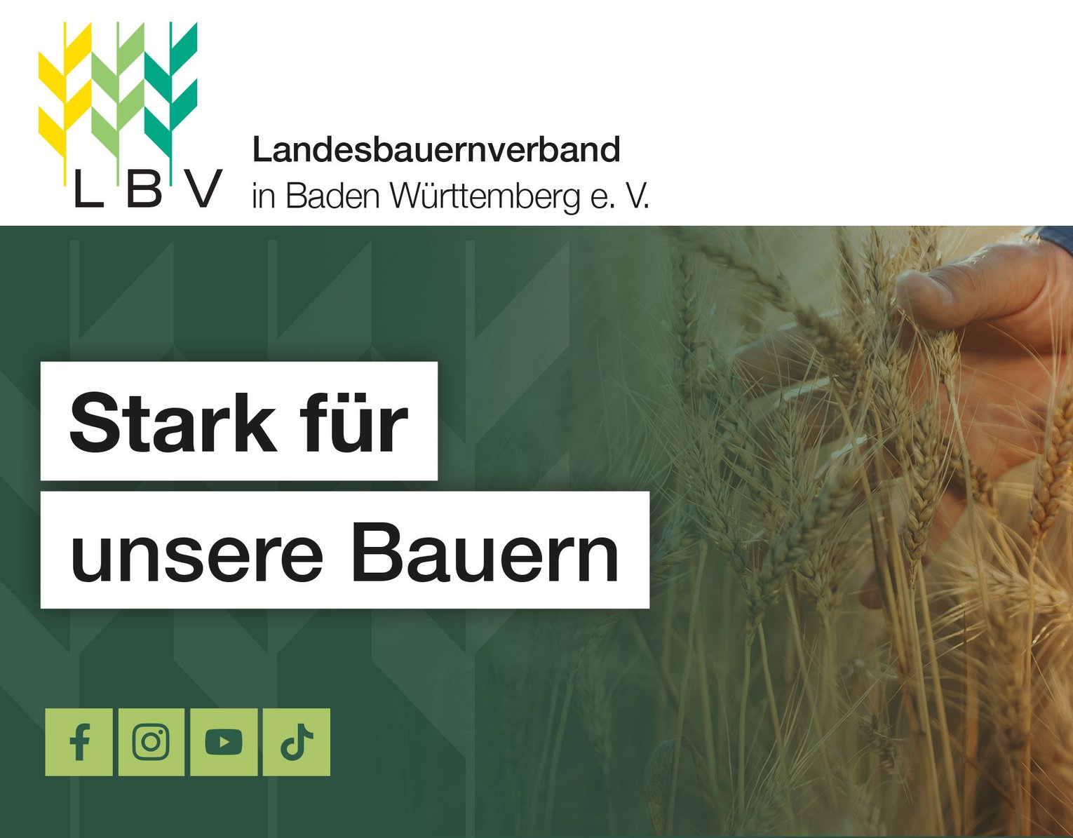 Corporate Design LBV BW Grafik für den Landesbauernverband: Text Stark für unsere Bauern über einem Bild von einer Hand, die Getreide greift.